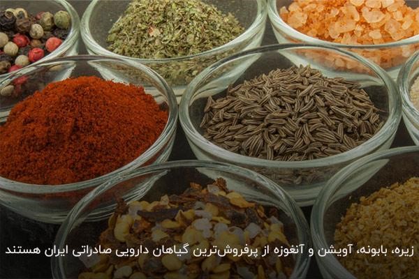 آشنایی با پرفروش‌ترین گیاهان دارویی صادراتی ایران