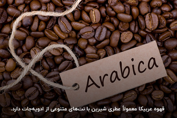بررسی عطر قهوه عربیکا و ربوستا برای تشخیص آن‌ها