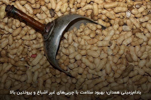 بادام‌زمینی همدان؛ طعم و بوی مطبوع، لذت‌بخش و منحصر‌به‌فرد