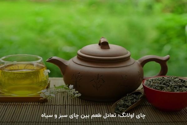 چای اولانگ: یکی از انواع مختلف چای با نت‌های گل‌ها و میوه‌ها