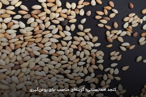 کنجد افغانستانی؛ گزینه‌ای مناسب برای روغن‌گیری