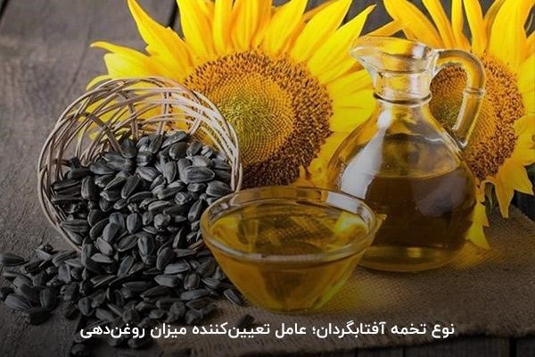 نوع تخمه آفتابگردان از عوامل تاثیرگذار بر میزان روغن‌دهی