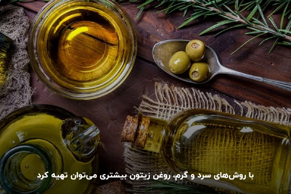 هر چند کیلو زیتون یک کیلو روغن میدهد