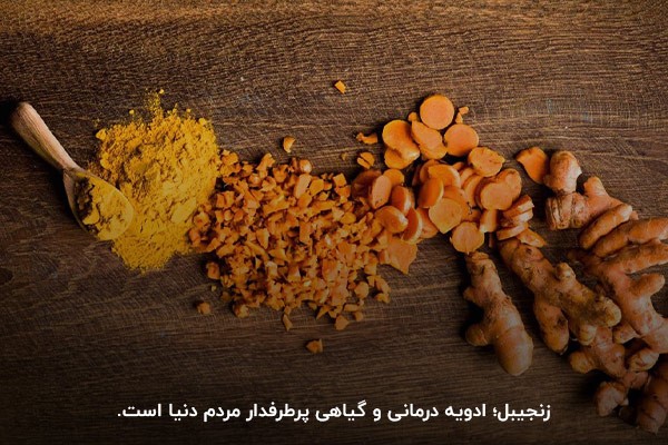 زنجبیل؛ ادویه درمانی