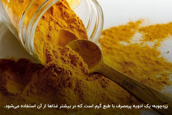 ادویه‌‌ها؛ چاشنی‌هایی حاوی طبع گرم