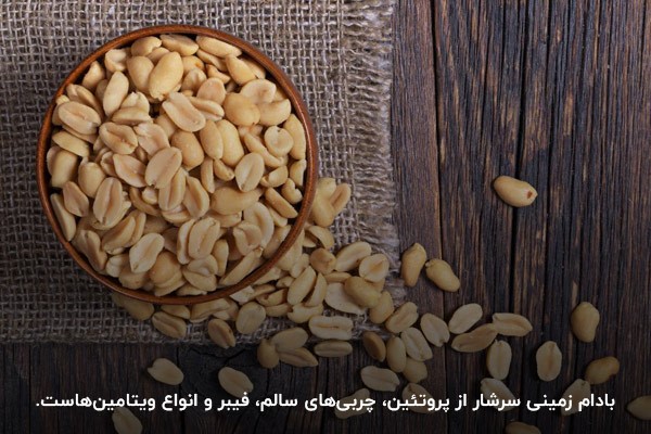 انواع بادام زمینی؛ گنجینه ای مغذی در دل خاک